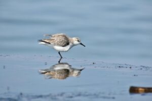 Duurzaam waterbeheer